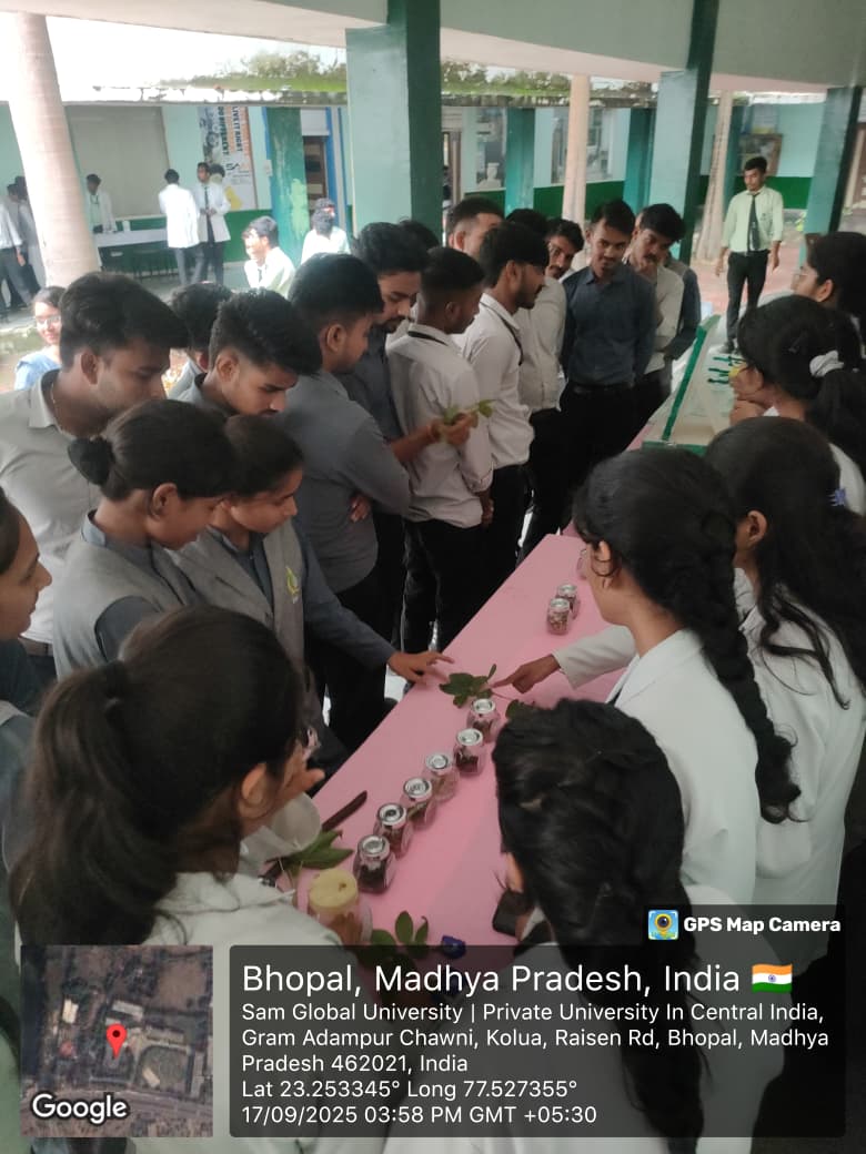 Events And Workshops 17