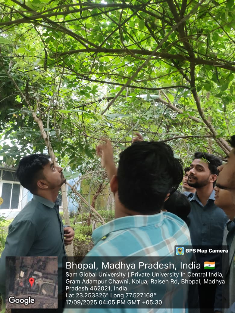 Events And Workshops 18